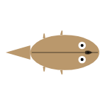 Back Leg Length: Short