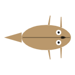 Front Leg Length: Long