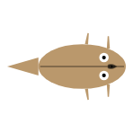 Front Leg Length: Mid