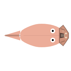 Hunting Live Prey: Shell Crusher