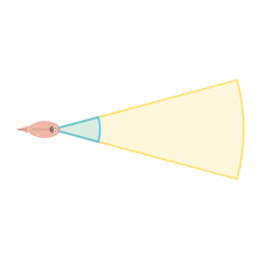 Near Vision Angle: Narrow field of view