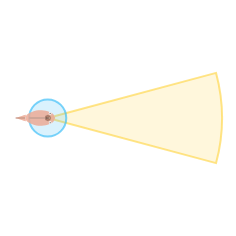 Near Vision Angle: Panoramic field of view