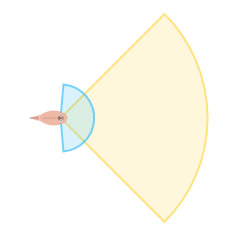 Near Vision Distance: Mid field of view
