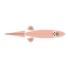 Swimming Body Plans: Tail + Rear Brace